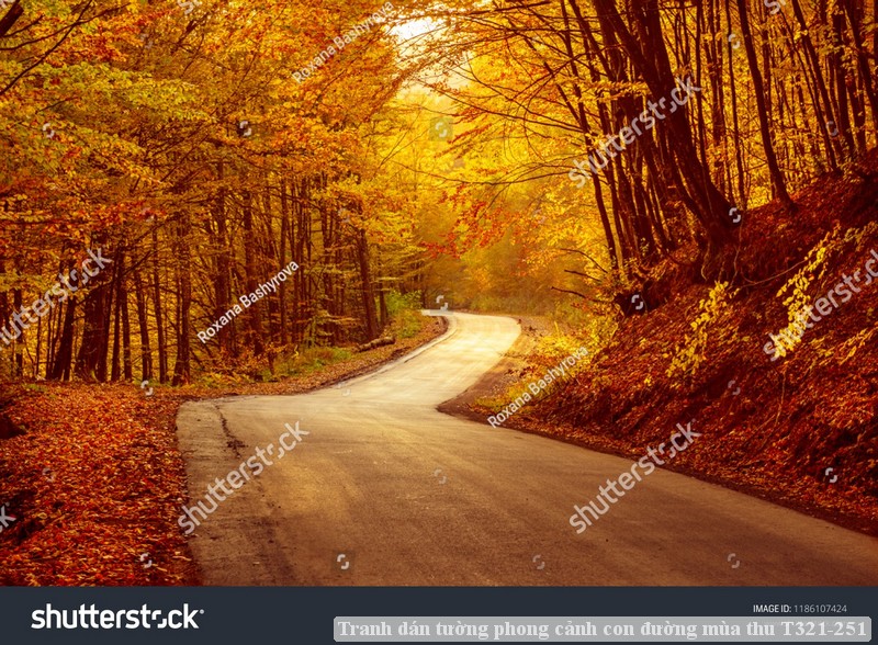 Tranh dán tường phong cảnh con đường mùa thu T321-251